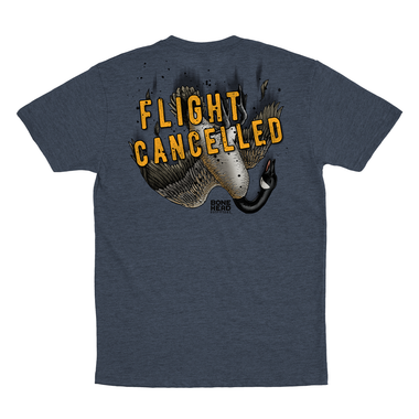 Flight Cancelled