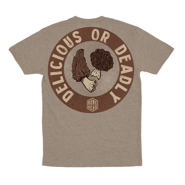 Delicious or Deadly Mushroom